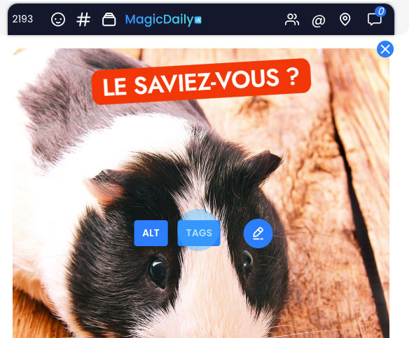 identification des produits Instagram